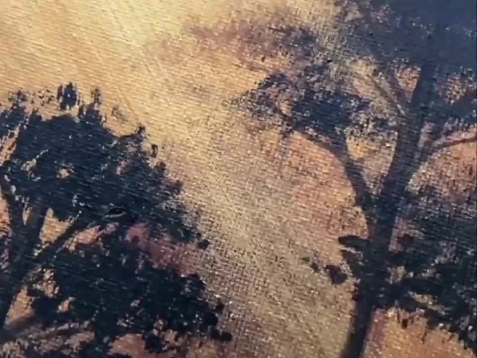 Satisfying...............ASMR That Makes You Calm Original Satisfying Videos PART - 1