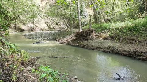 Relaxing Creek Time