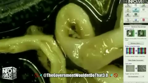 Growing inside the vaxed