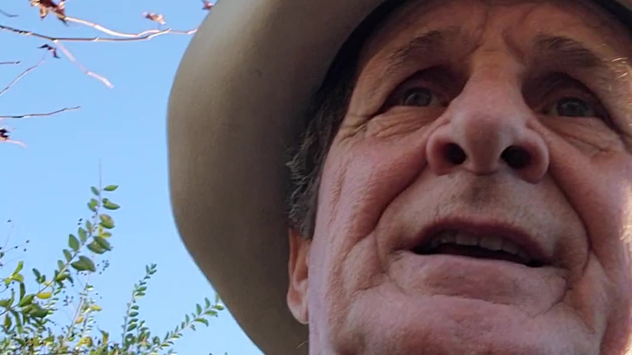 Is it still dominate,,,,,or responsive