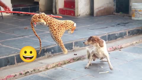 😜Lion Dog Prank Must Watch Funny Video Just For Fun Try Not To Laugh...