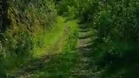 مقاطع طبيعية وهادئه