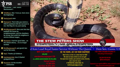 2022-04-18 07:00 EDT - Patriots Soapbox AM: with LadyRWB , MykelJaye & DD