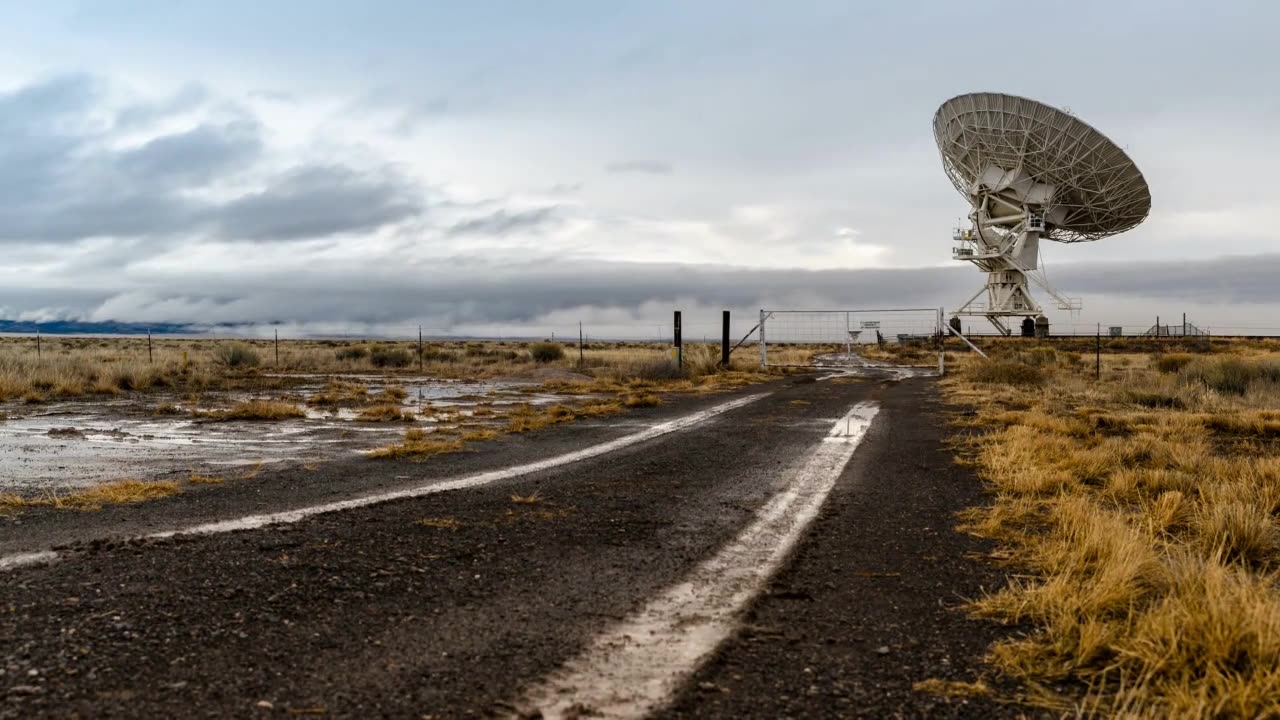 Rotating Winds Fuel Cosmic Giants: New Black Hole Insights From ALMA