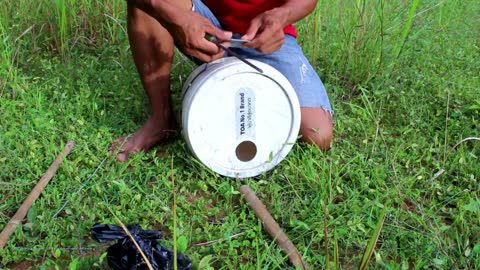 How to easily catch a cat from the wild with a bucket