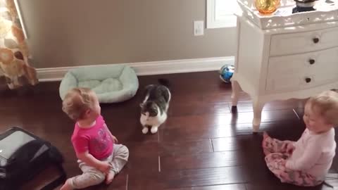 Most funny1