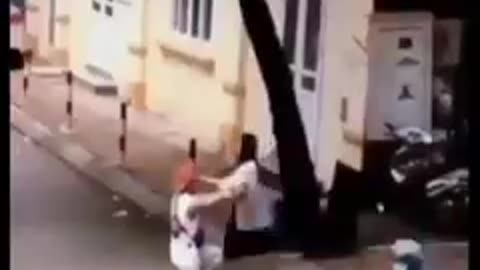 Funny videos