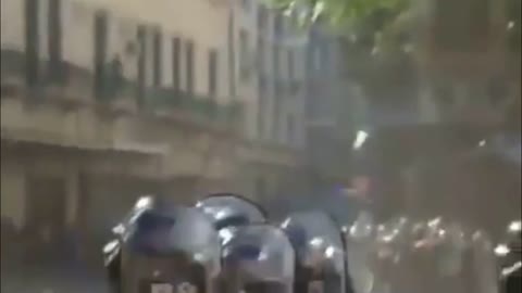 ludzie w obronie wolności : psy