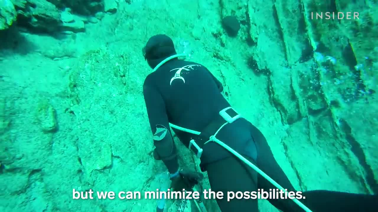Why Sea Sponges Are So Expensive _ So Expensive.