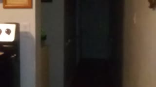 Orbs in Hallway!