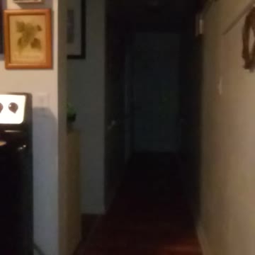 Orbs in Hallway!