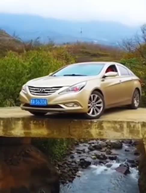 Experienced driver 😱🚙