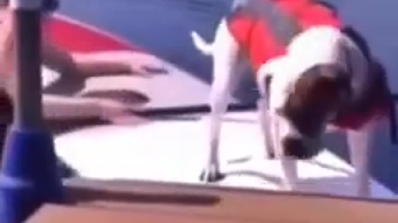 TRY NOT TO LAUGH 😆 Best Funny Videos Compilation 😂😁😆 Memes