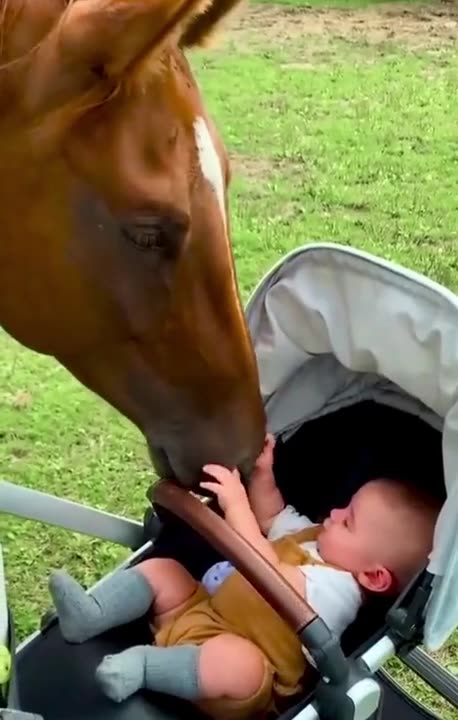 Horsie hugs make evervthing better.