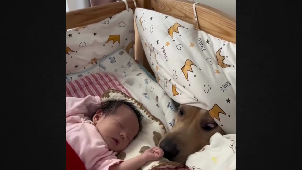 Dog Can't Resist Newborn's Charm: Watch the Adorable Interaction