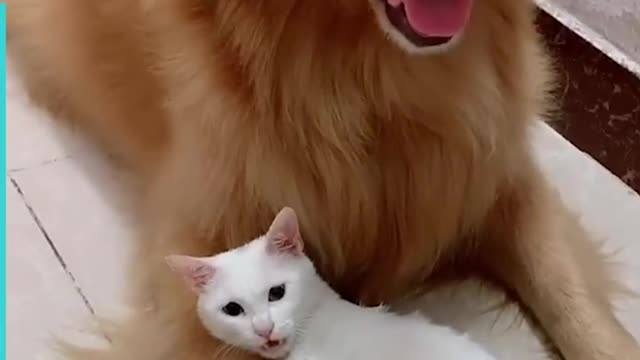 Such a cute relationship.