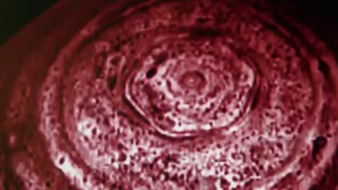 The number 8 - Ptolemaic (Fake) Pharaohs in Zwitzerland