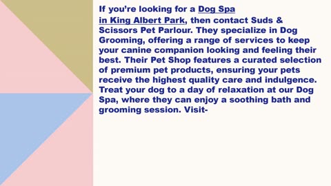 Best Dog Spa in King Albert Park