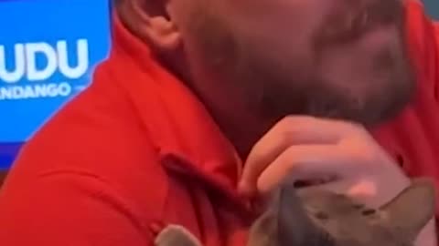 Got back from a 10 day vacation and my cat will not stop clinging to my boyfriend