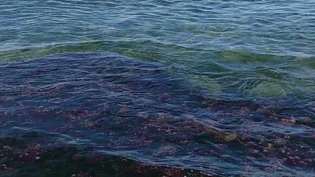 Relax on the sea