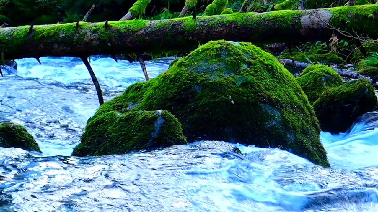 Nature Sounds ♬♬ with water sounds || Nature Discovers.......#shorts #naturesounds #natureshorts