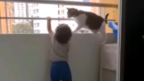 Responsibility of cat