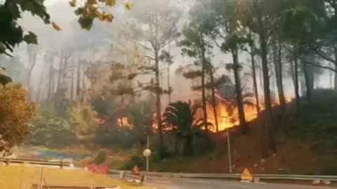 Table Mountain 7th wonder of the WORLD Burning uncontrollably !! 🔥Cape Town had to be shut down