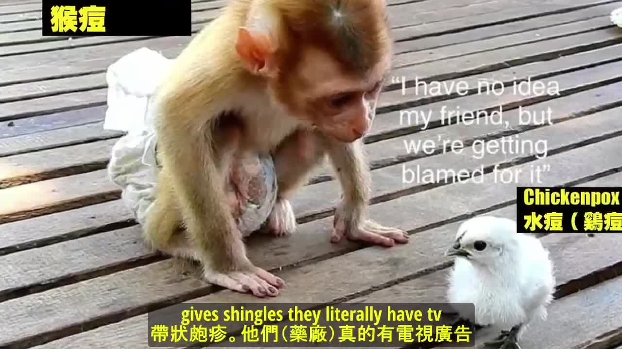 正在做局,如同新冠大流行,媒體吹噓出一個猴痘威脅,