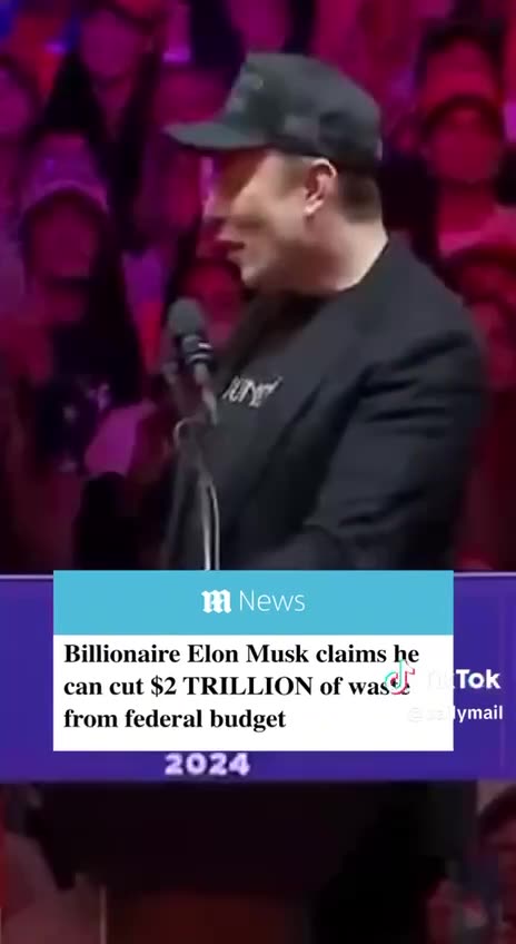 Elon says he can cut 2 Trillion from the waste in our government.