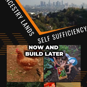 Real estate ownership where your dollar still matters