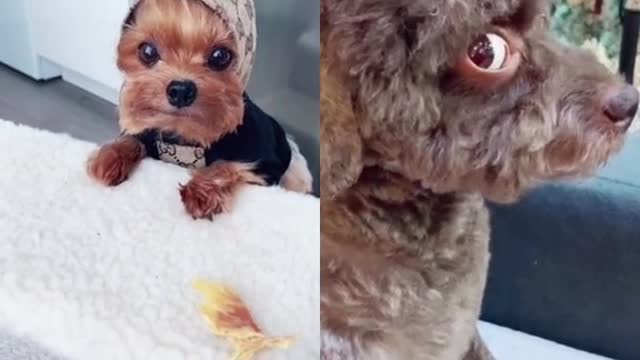 Don'look at the treat challange.