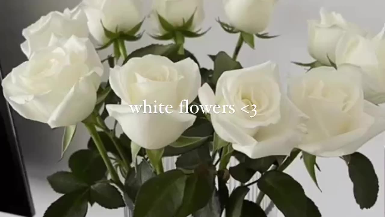 White flowers