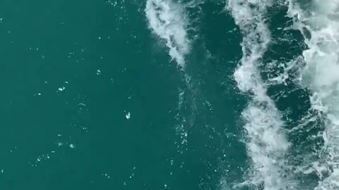 Relaxing video,, Beauty of nature you going to love this