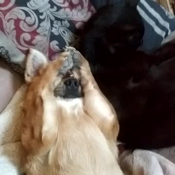 The 2 being super cute