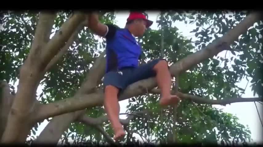#Funy video 2021