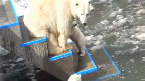 hard work beautiful babies
