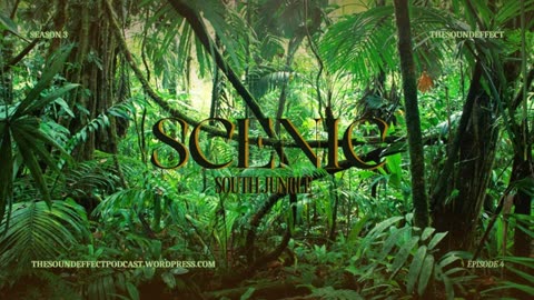 Scenic Sounds | Season 3: Episode: 4 | South Jungle (ASMR)