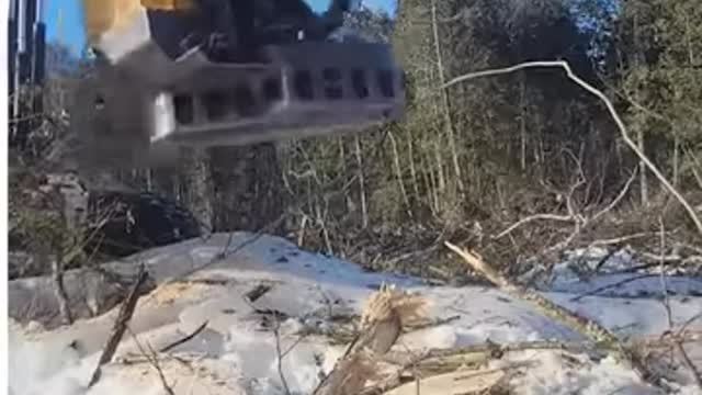 This machine cuts outgrown trees in no time!