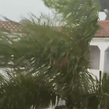 birds holding their headway in that wind! .... #tropicalstorm surfing birds. St Maarten