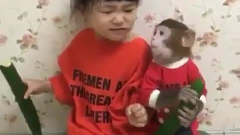 funny monkey