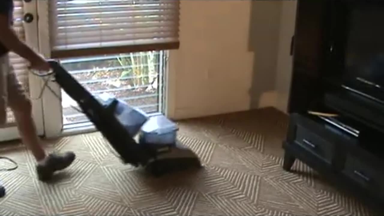 Hoover Carpet Cleaning Idea for Dummies