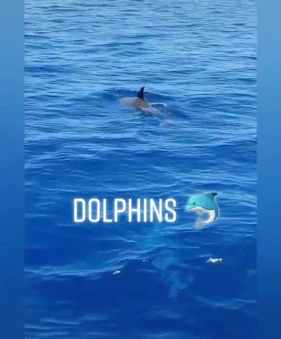 AMAZING MALDIVES 😄 NATURAL REMEDIES OF LIFE