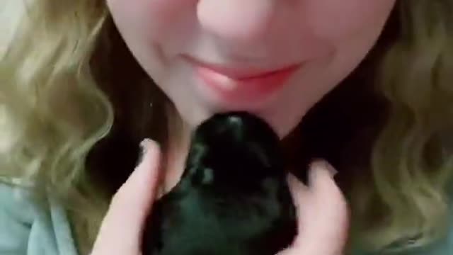 Puppy Suckling on Chin and Causes Hicky