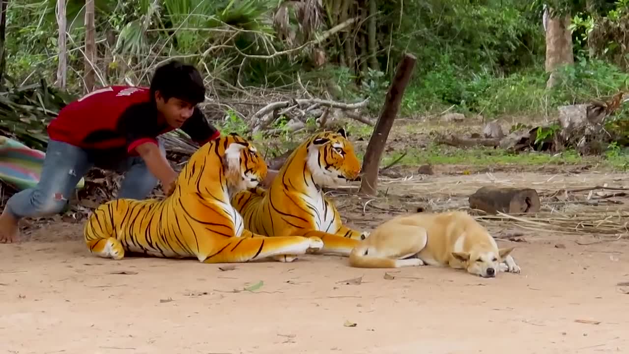 Fake tiger prank dog vs two tiger