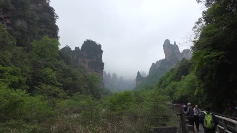 "Avatar" Mountain & Wulingyuan Scenic Area