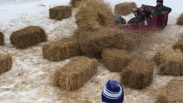 Sled Narrowly Wins Race, but at a Cost