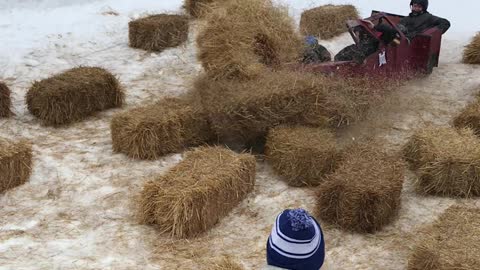 Sled Narrowly Wins Race, but at a Cost