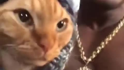 AWW Animals SOO Cute! Videos Compilation cutest and funniest moment of the animals #9