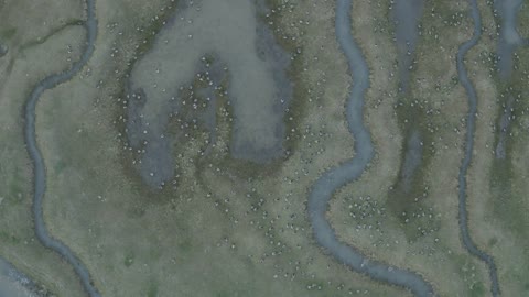 Aerial view of the abstract pattern made by Scheldt river estuaries near