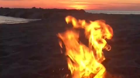 Fire in the beach